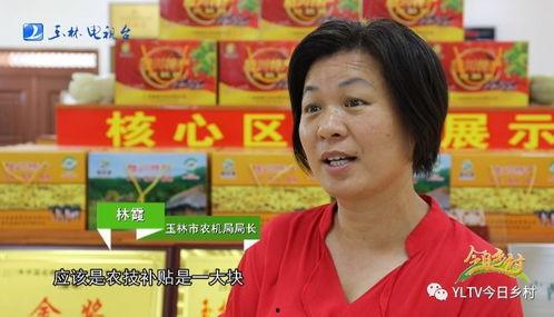 刘晶爆料广西网红视频,刘晶爆料背后的惊人真相！”  第1张